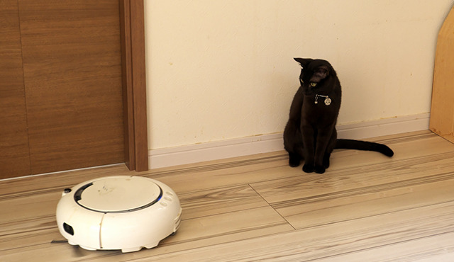 ロボット掃除機とペットの猫